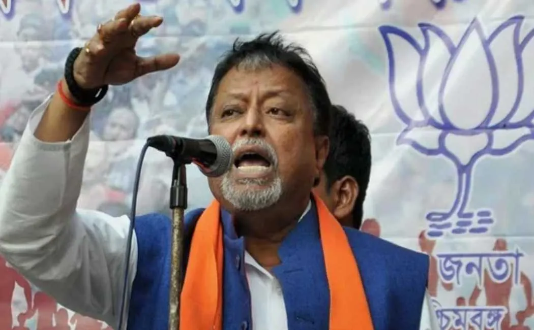 bjp national vice president